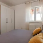 Breg Ivanovci Iv Raša
